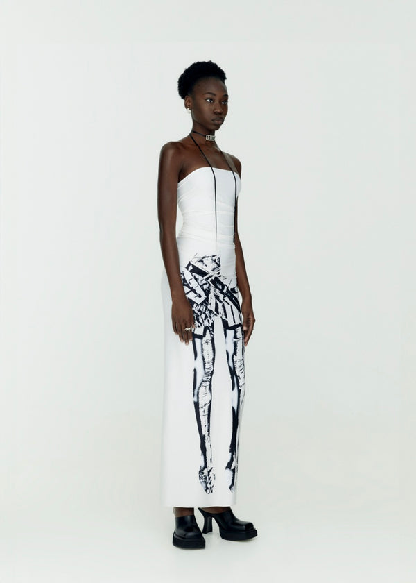 Twirl Skirt Print Dress